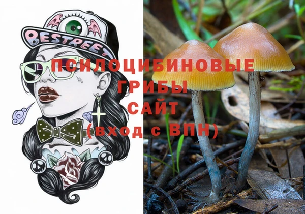 метадон Алексеевка