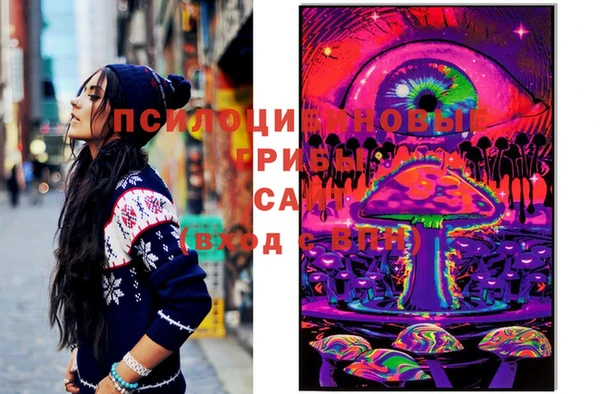 марки lsd Абаза