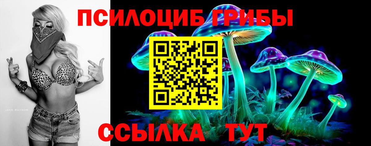 Псилоцибиновые грибы Psilocybine cubensis Норильск