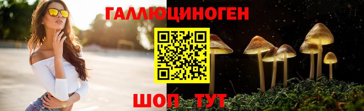Норильск  Галлюциногенные грибы мицелий  Вход с VPN 